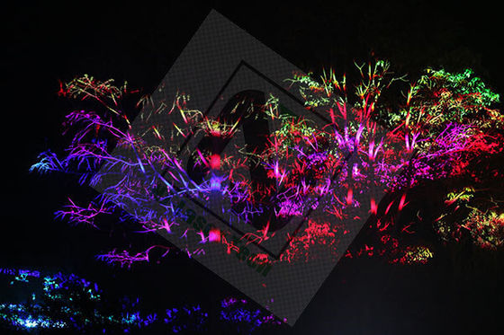 Lasers industriales de diodo de alta potencia con duración de pulso ≤ 100 ns y temperatura de funcionamiento de -40-60 °C