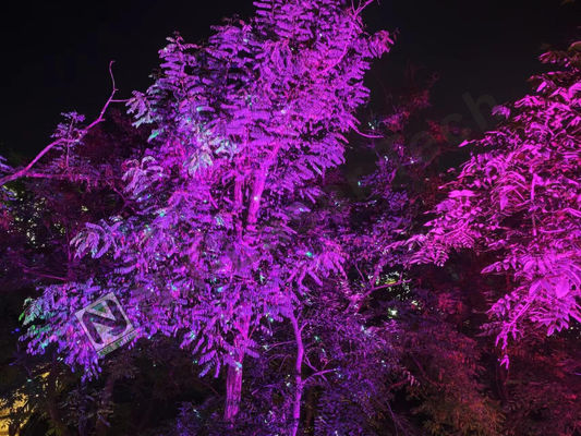 Rango de temperatura 10°C-35°C Espectáculo láser brillante con iluminación RGB