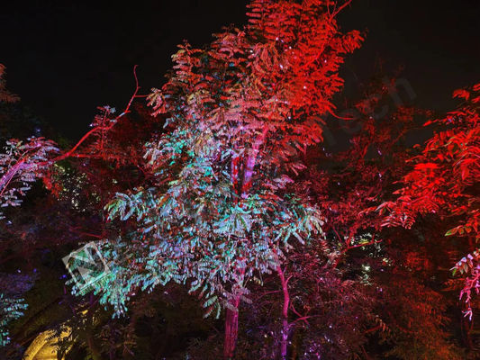 Rango de temperatura 10°C-35°C Espectáculo láser brillante con iluminación RGB