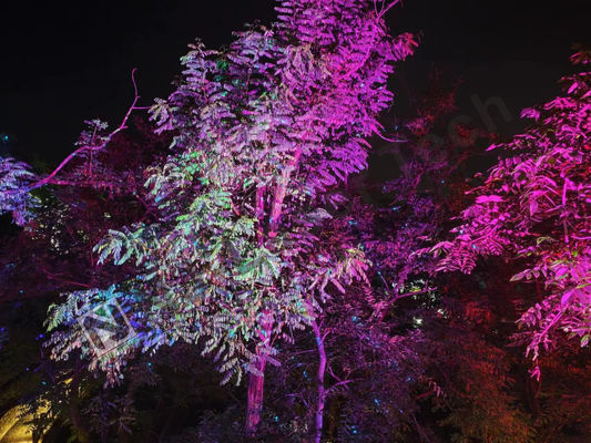Rango de temperatura 10°C-35°C Espectáculo láser brillante con iluminación RGB