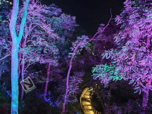 1000mW Laser Show con módulo de escáner XY de alta velocidad y sistema de enfriamiento