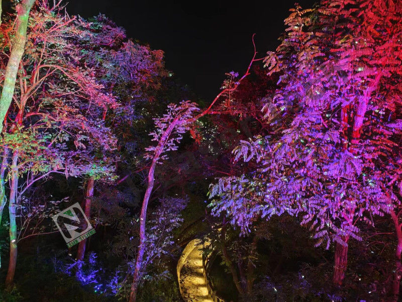10°C-35°C Impresionante espectáculo de luz láser Perfecto funcionamiento estable para grandes eventos