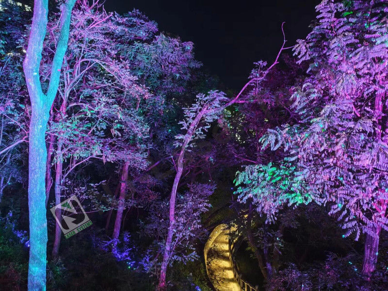 1000mW Laser Show con módulo de escáner XY de alta velocidad y sistema de enfriamiento